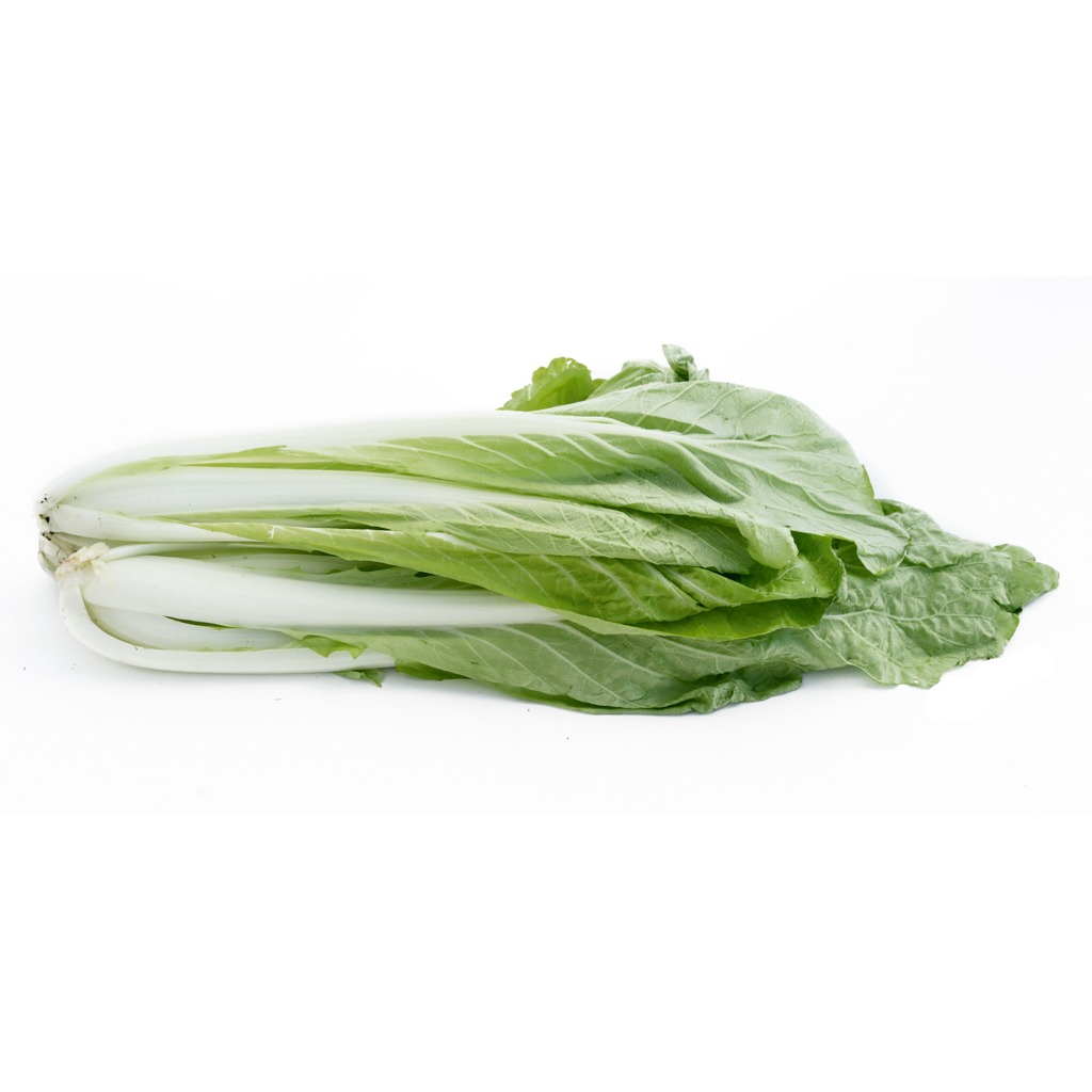 台湾白菜