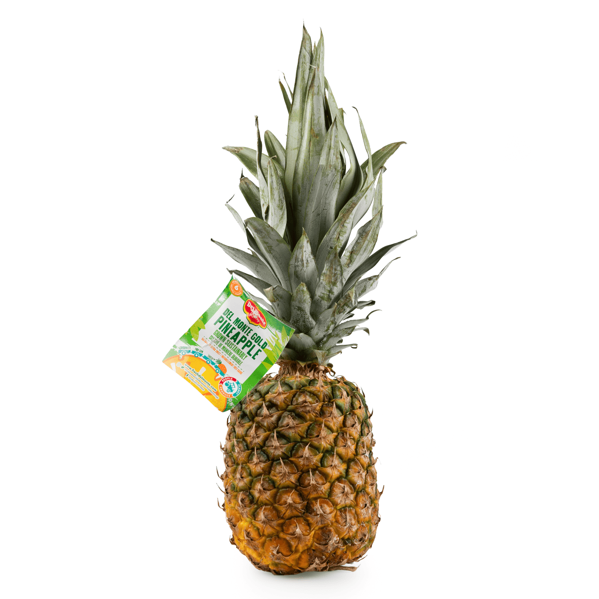 金菠萝