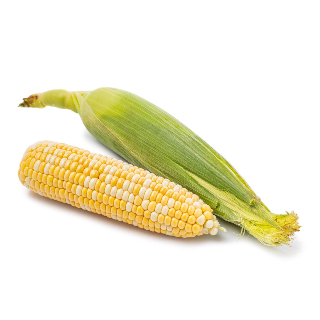 玉米